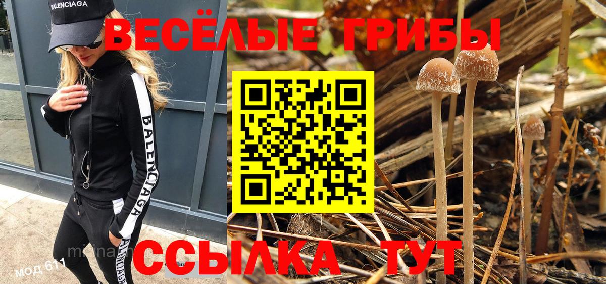 Псилоцибиновые грибы Magic Shrooms  Вход с VPN  Котлас 