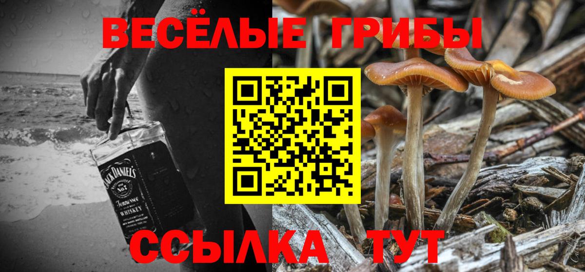 Псилоцибиновые грибы ЛСД Котлас