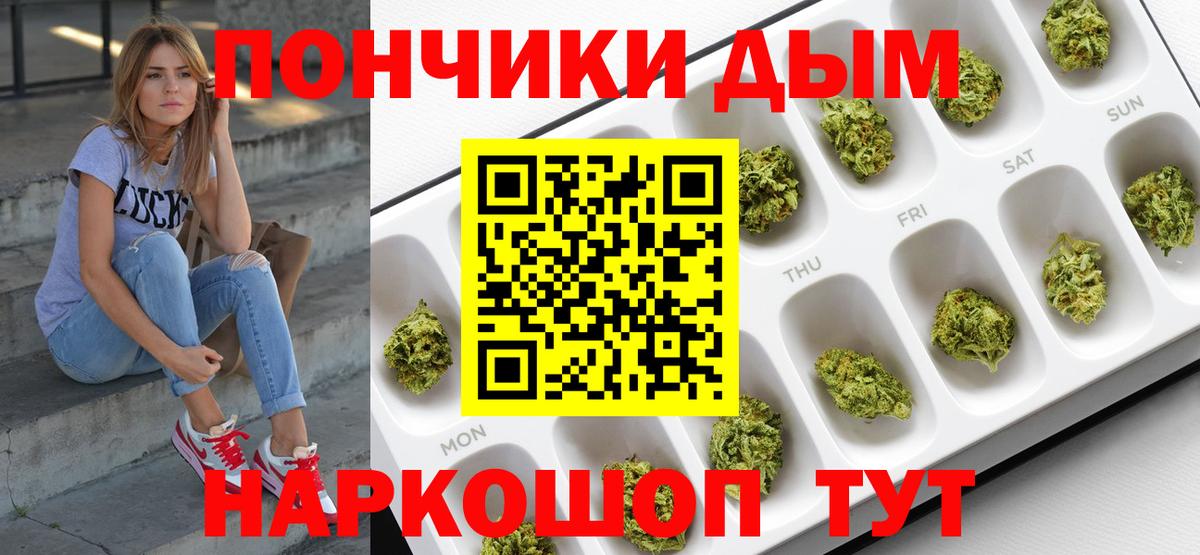 Бошки Шишки план Котлас